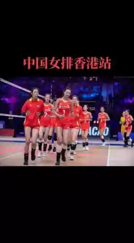 女排阵容搭配插图