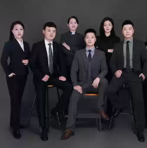 国内律师阵容