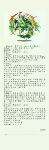 洛克王国草技能_1