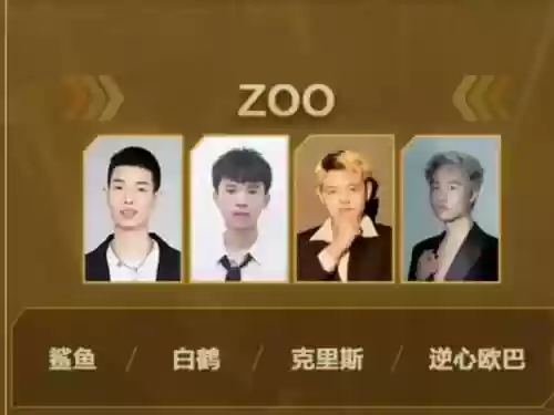 zoo新阵容插图
