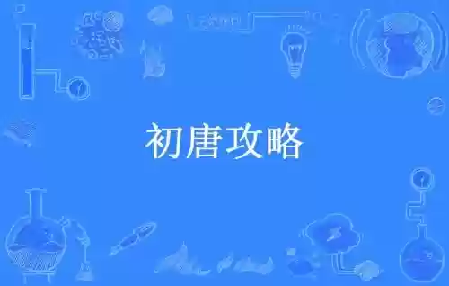 初唐攻略txt下载插图