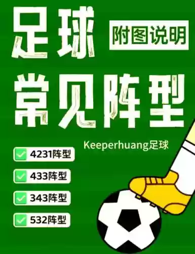 小白的阵容
