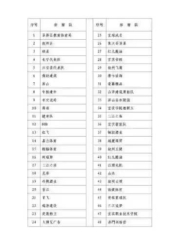 宜宾队阵容插图1