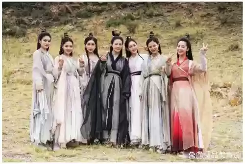 张无忌赵敏阵容插图