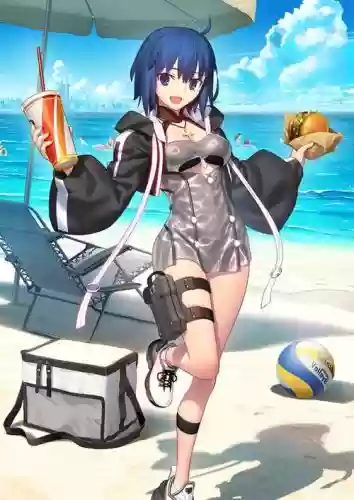 fgo黑灰宝具本技能本