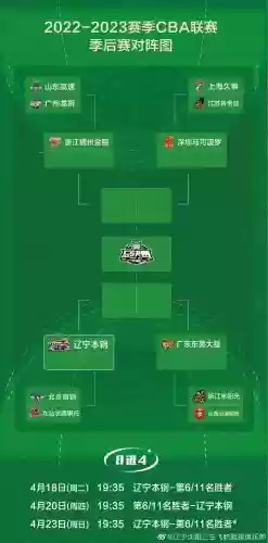 辽宁季后赛阵容插图