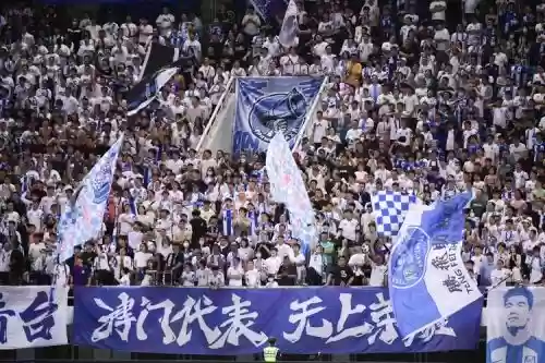 幕虎阵容