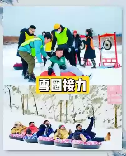 雪地阵容搭配