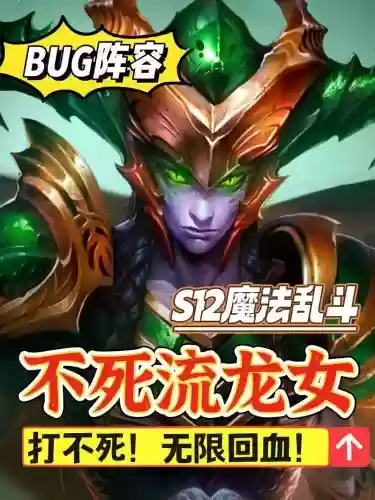 龙女bug阵容_1