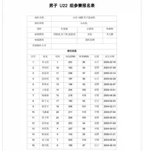 全运会4200阵容