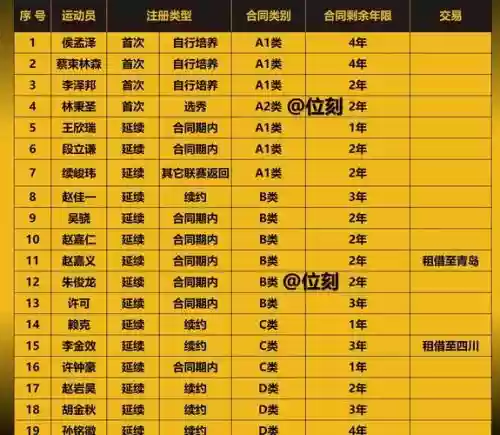 双雄打手阵容