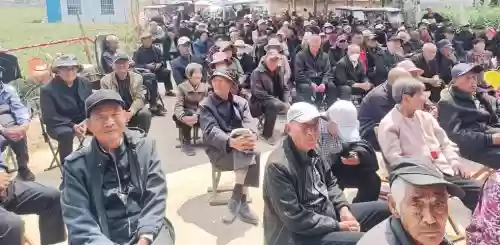 村里的阵容