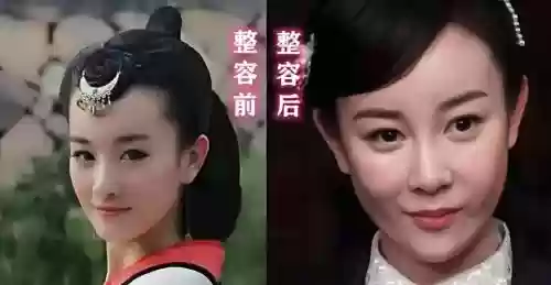 掌萌阵容_1插图