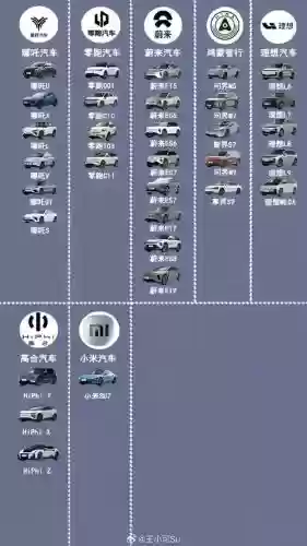 特斯拉阵容图插图