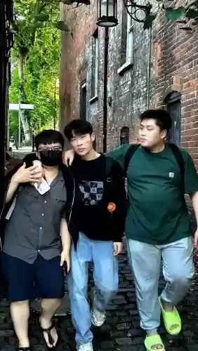 百弟阵容插图