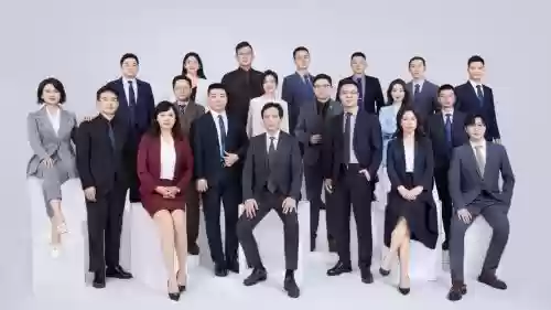 国内律师阵容插图