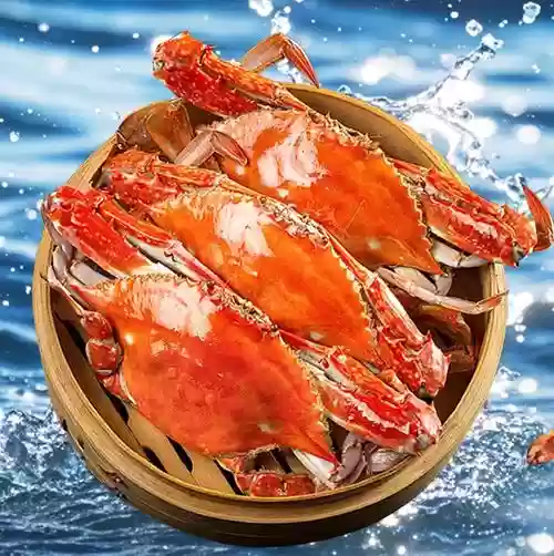 索子蟹阵容