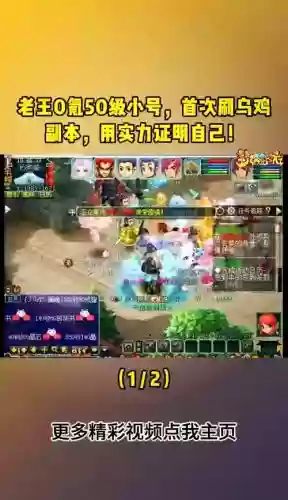 梦幻西游55级杀乌鸡插图