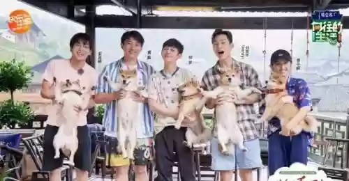 向往4原班人马阵容搭配_1插图