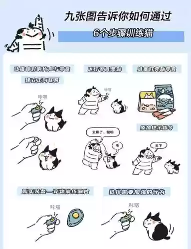 白猫计划技能释放技巧