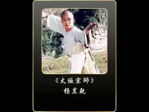 太极宗师阵容