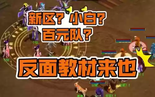 新区小白阵容插图