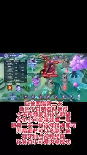 新区小白阵容
