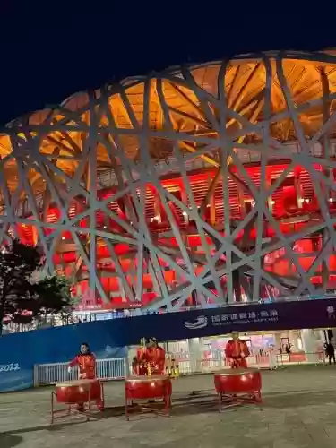 鸟巢的阵容