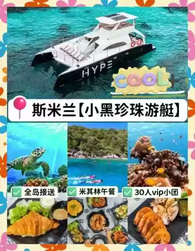 开船2023阵容_1