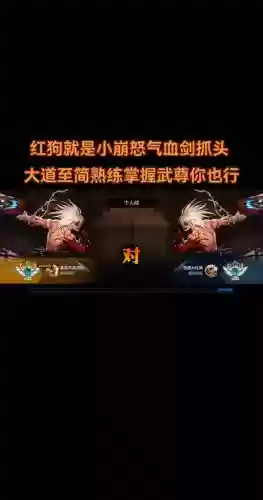 什么要带加暴走技能的