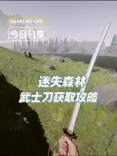 森林武器在那拿插图