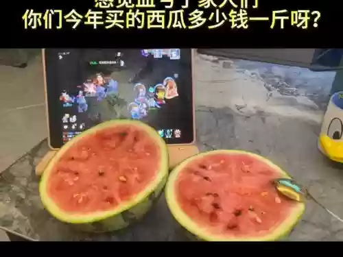 梦幻西游手游西瓜插图