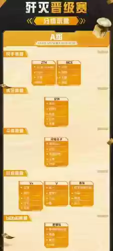 zoo新阵容
