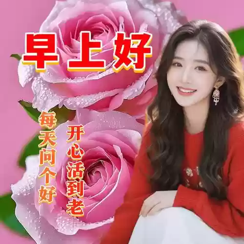 好心情阵容_1插图