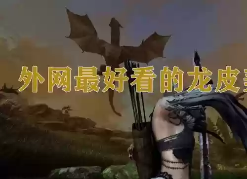 上古卷轴龙皮术不能穿装备插图