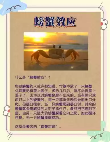螃蟹技能主什么意思