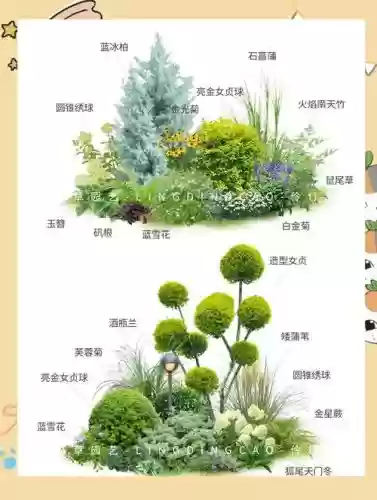 植物阵容投稿插图