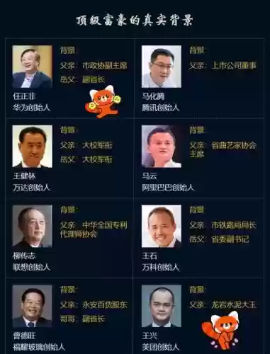 富豪阵容图片