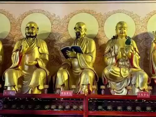 大佛搭配阵容_1