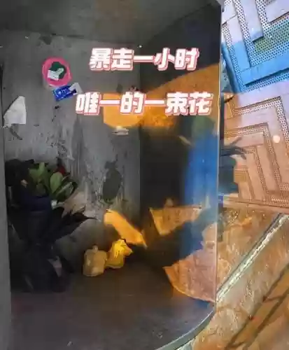 100层电梯情人节攻略插图
