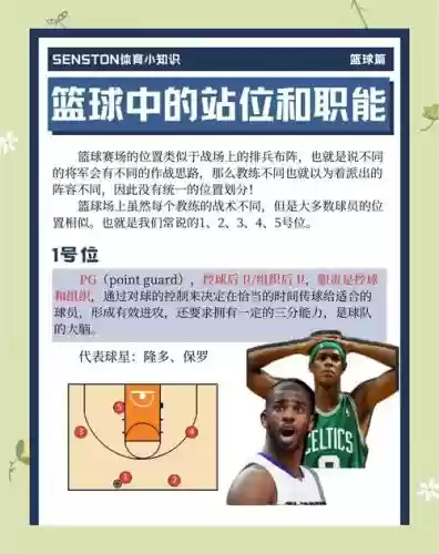 篮球阵容科普插图