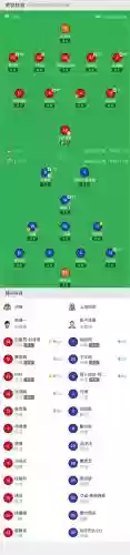 申花阵容2015插图