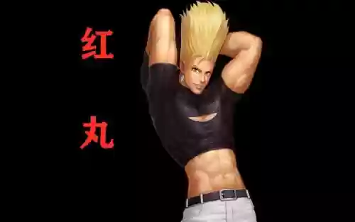 红丸什么阵容插图