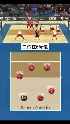 新手排球阵容搭配