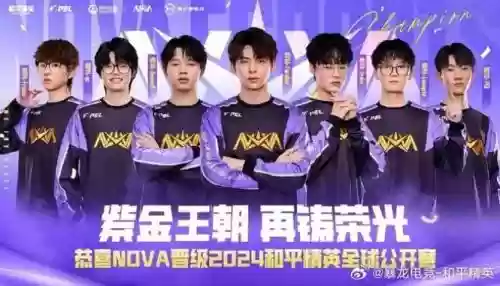 nv新阵容_1