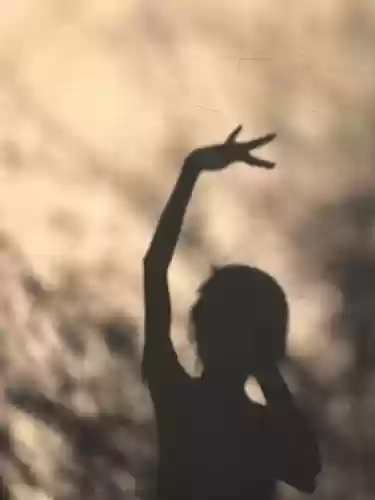 影子美女阵容
