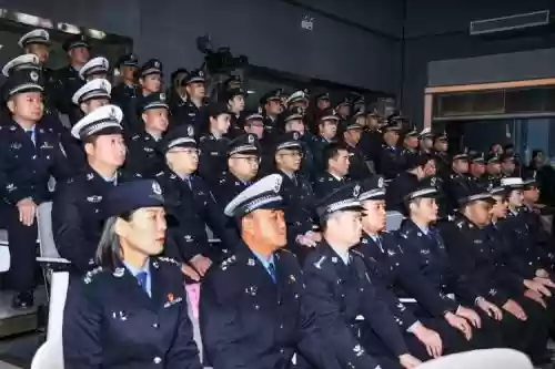 警察合作阵容插图