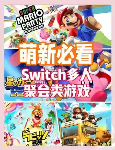 switch最后阵容插图