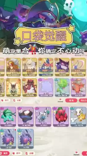口袋大师阵容搭配插图