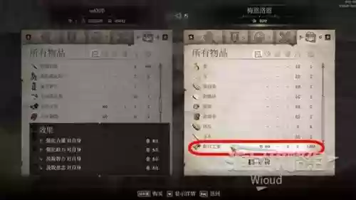 上古卷轴龙皮术不能穿装备
